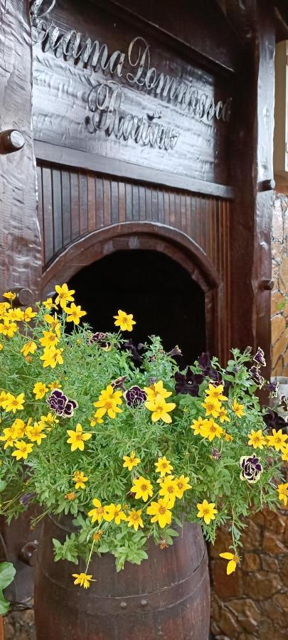 Hotel Casa Domneasca Rarau Câmpulung Moldovenesc Esterno foto