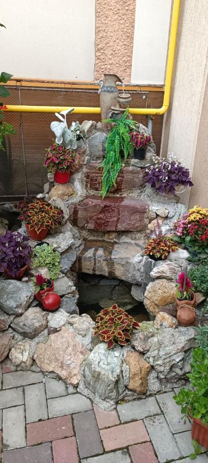 Hotel Casa Domneasca Rarau Câmpulung Moldovenesc Esterno foto